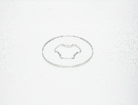 PCWS-0613-10